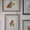 Thumbnail: Red squirrel painting, presented framed in a gallery setting. Original watercolour depicting a red squirrel