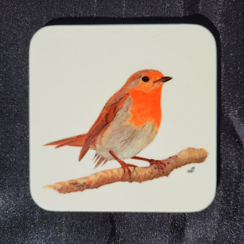 Close up of a robin coaster. Robin drawing on a white background.