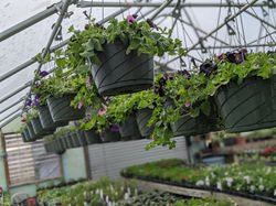 00100lrPORTRAIT_00100_BURST20200408131904598_COVER