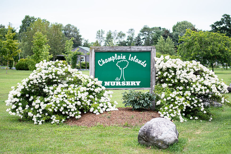 Champlain Islands Nursery.jpg
