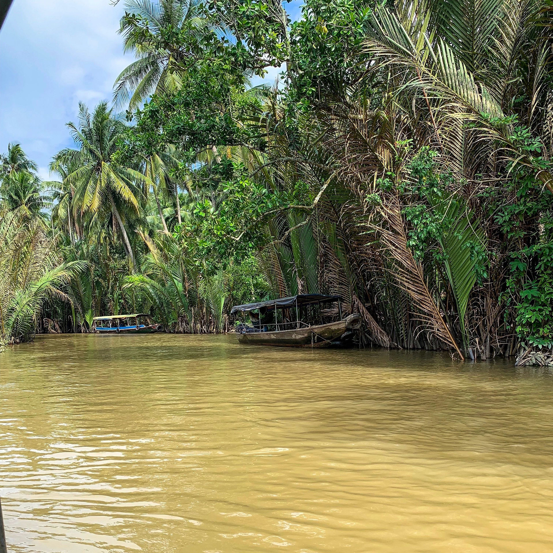 The Mekong Delta River, Vietnam
