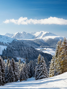Winter Wonderland Destinations