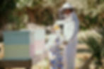 AMP_2029.JPG