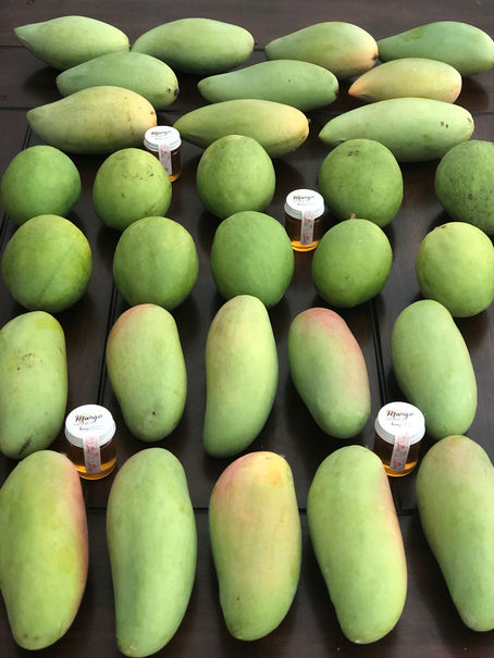 Get Ready to Mango Tango