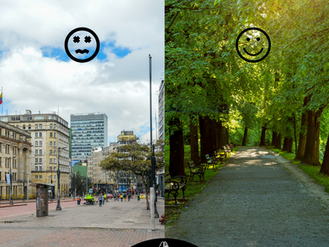 La naturaleza puede moldear tu cerebro y tu comportamiento.