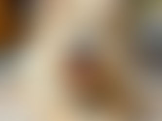 Dog laying down