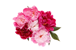 Depositphotos_137220194_original_Cut.png