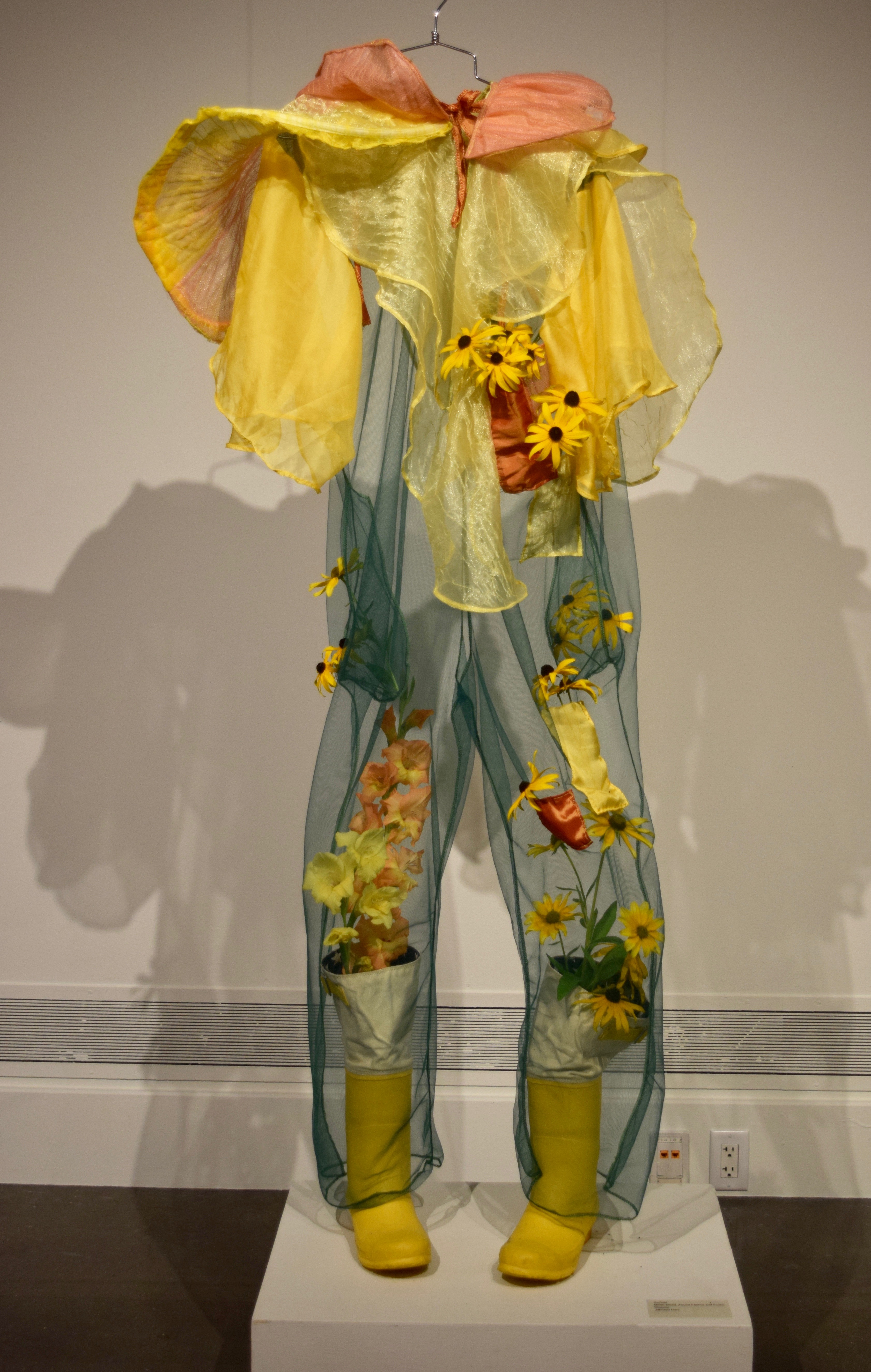 Daffodil