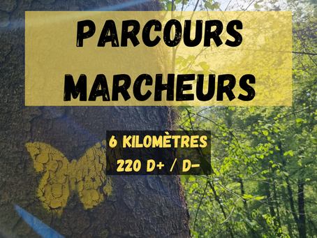 Nouveauté 2023
