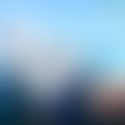 Nachmittag der Wintervögel