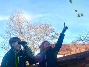 Nachmittag der Wintervögel