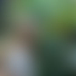 Unvergessliche Erlebnisse