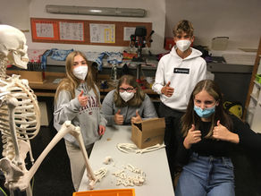 4A’s Anatomy