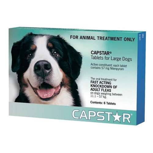 Capstar Large dogs Out of the box