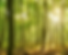 amoena-about-us-tencel.webp