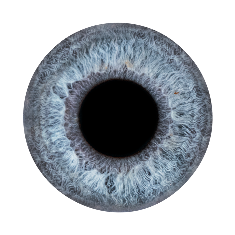 Iris Photograhy