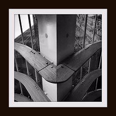 Black and White Photos