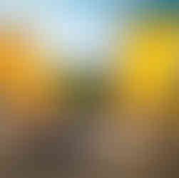 BYD and Denza stand at the British Motorshow 2025 by Automotive Events Agency We Are Nameless