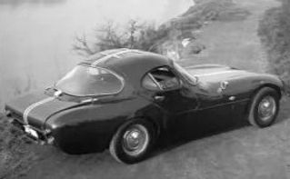 Gullwing+Web-0549c031-480w_edited_edited