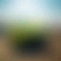 BYD and Denza stand at the British Motorshow 2025 by Automotive Events Agency We Are Nameless