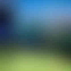 We Are Nameless | Automotive Event Agency | BYD Goodwood Festival of Speed