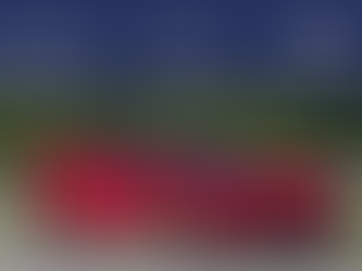 A fantastic new partnership