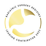 2022_BSR Leading Contributor.jpg