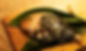 rkkc_food_03.jpg