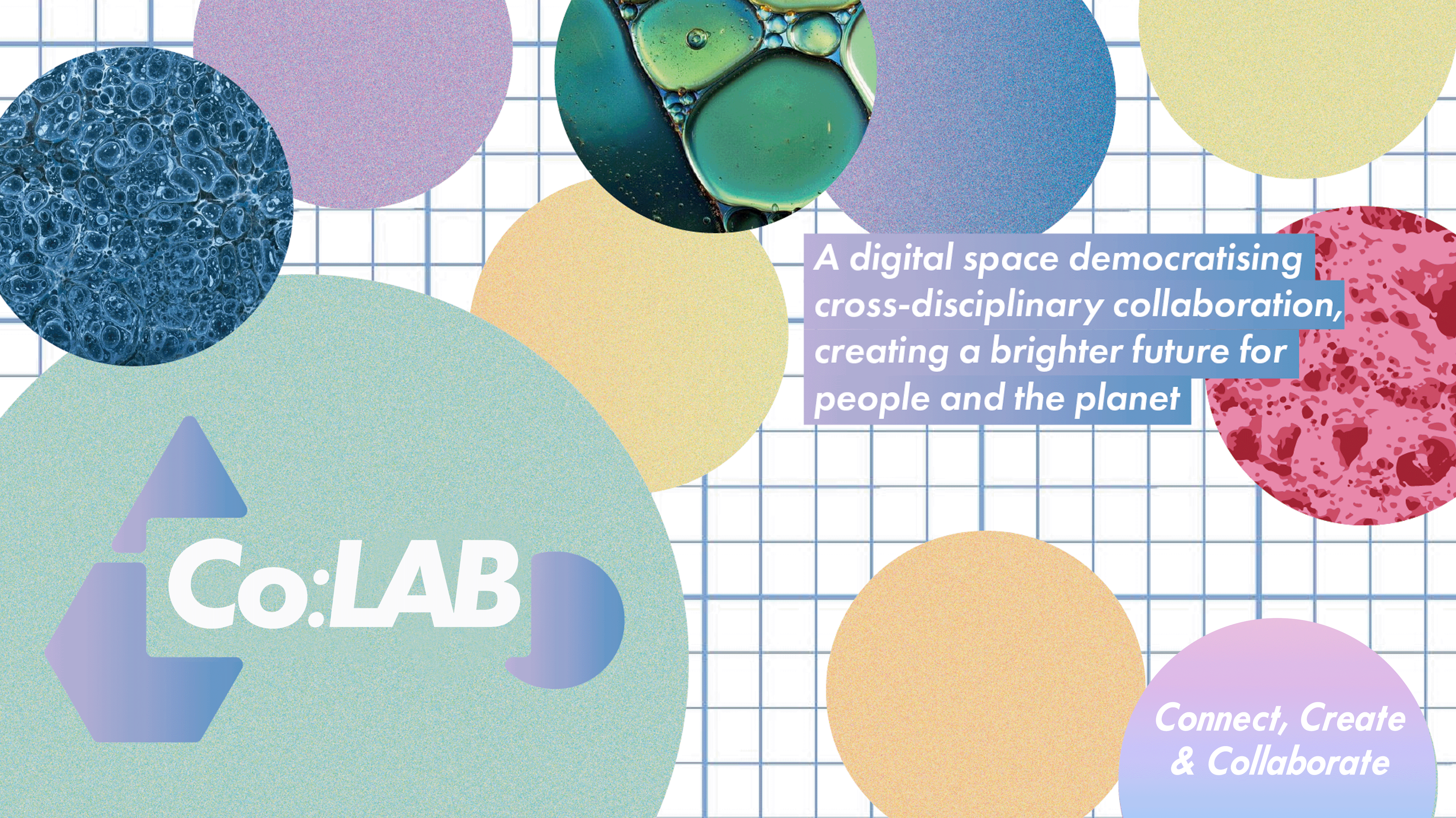 Co Lab Poster Animation.gif
