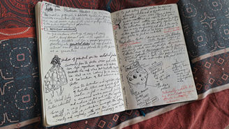 mushroom notebook 2.jpeg
