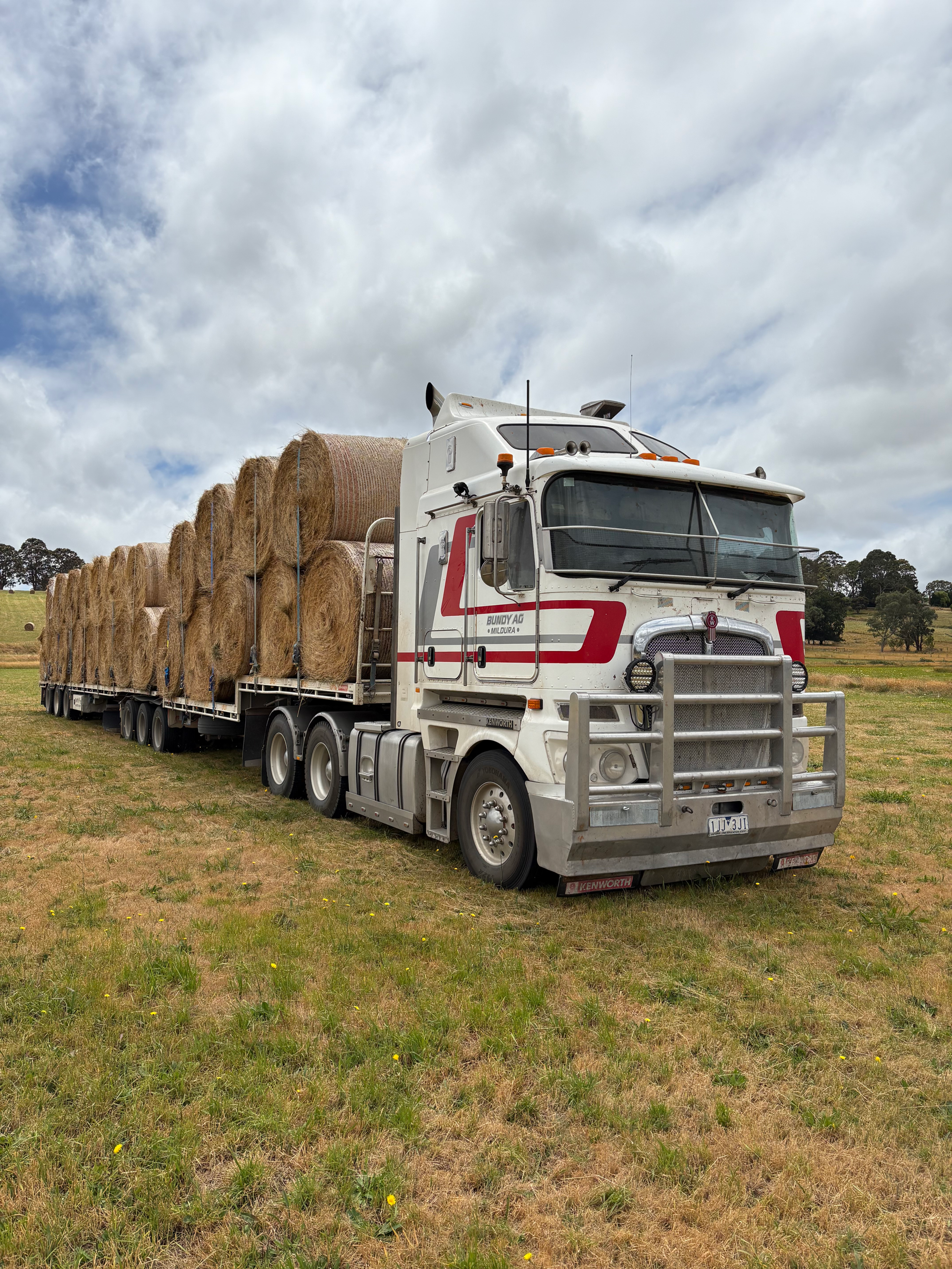 Meadow Round Bale (5x4)