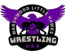 Marshwood Little Hawks Logo_edited.jpg