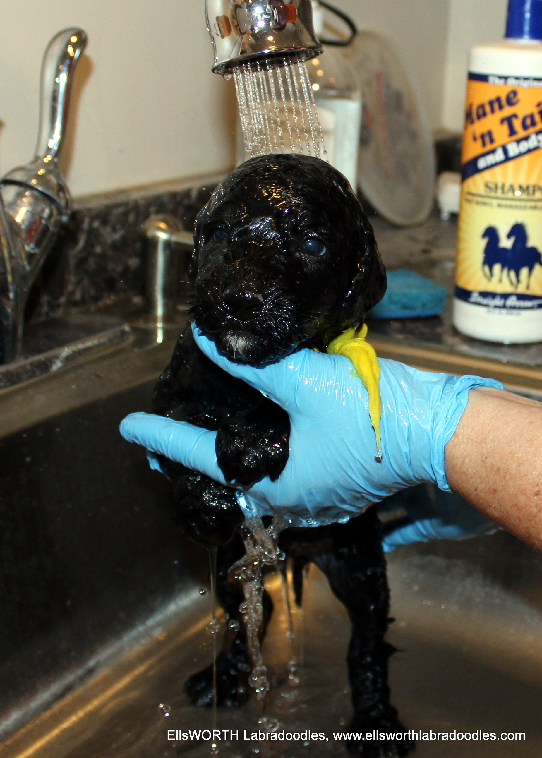 Bath time
