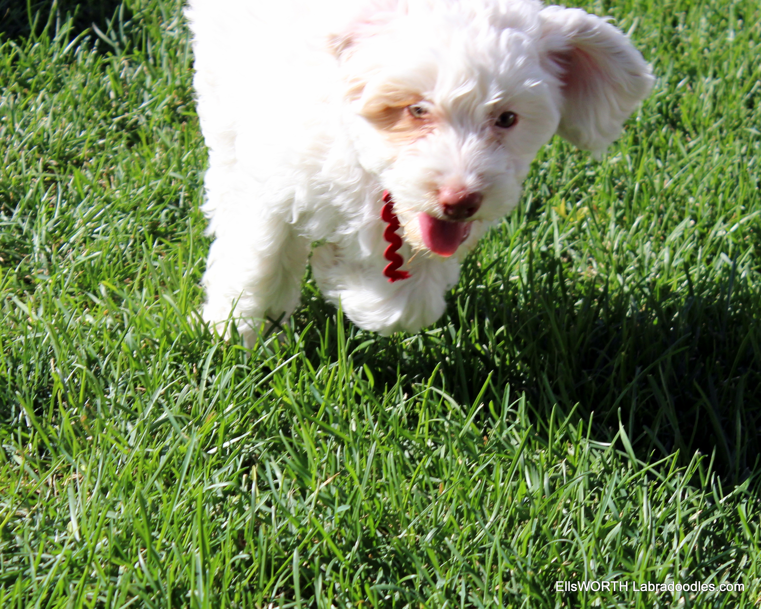 zooming