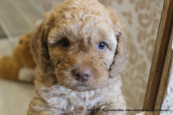 such a cute curly girl