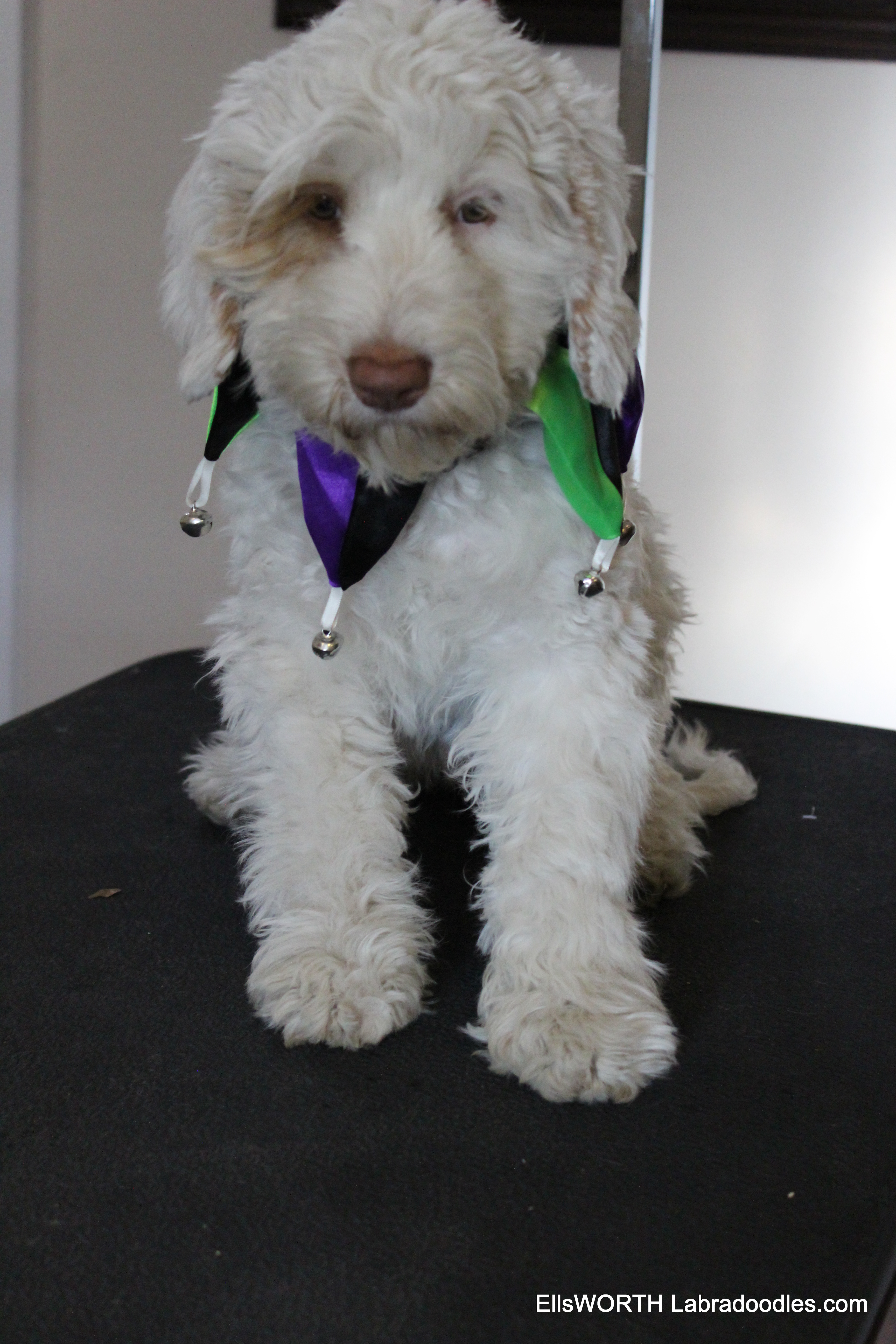 we tried on a few halloween outfits