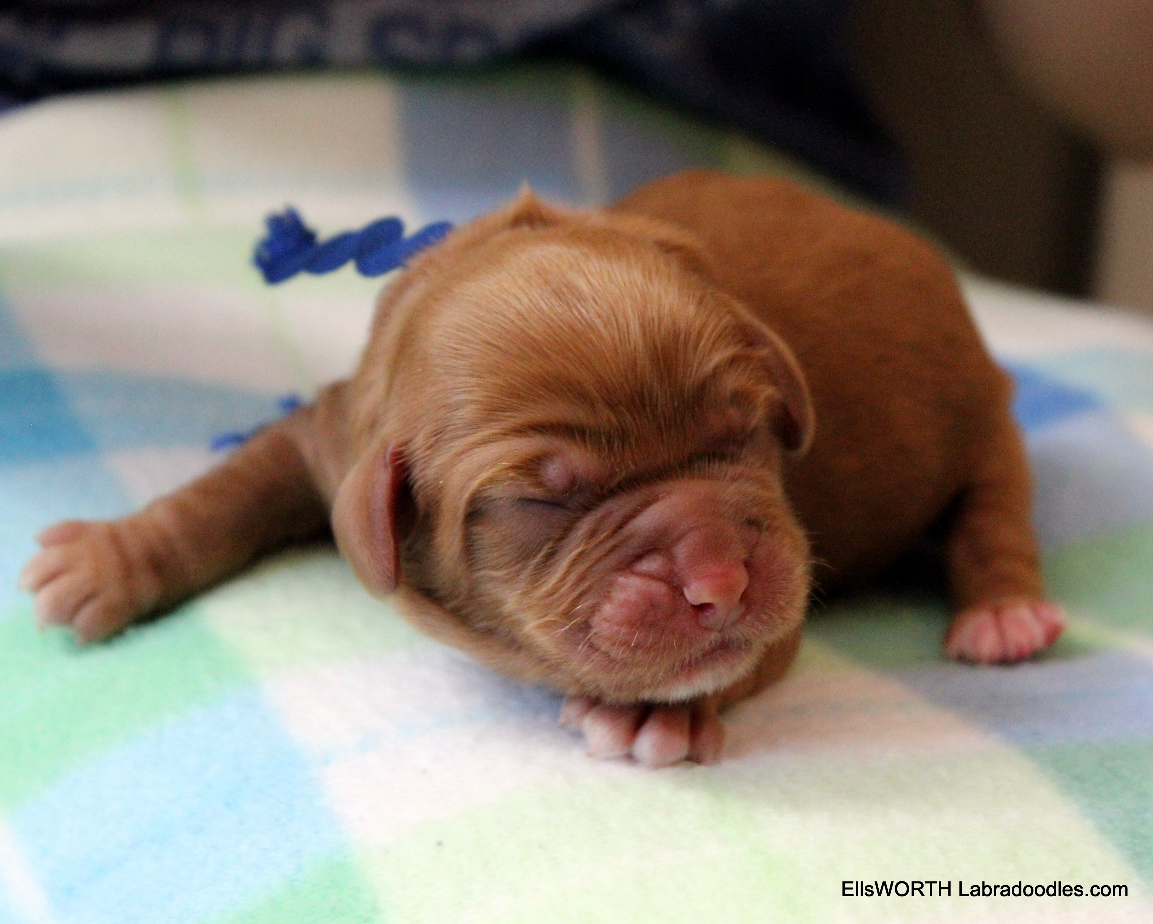 Born at 5:34 AM