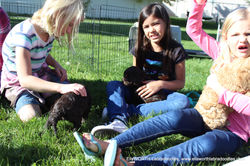 we went for a drive to Payson