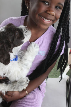 We love visitors to come and play with puppies.