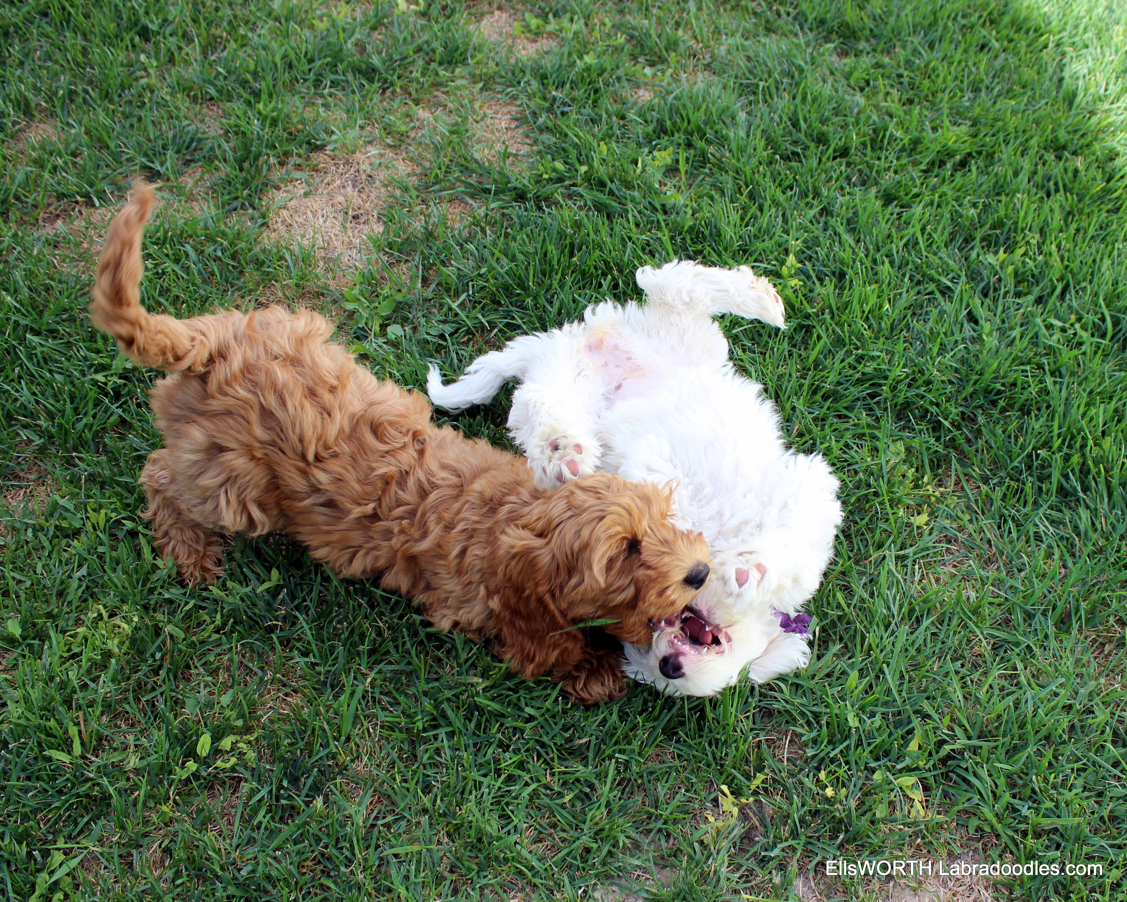 she and Sarah playing