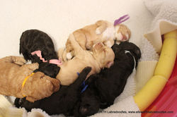 all eyes are now open