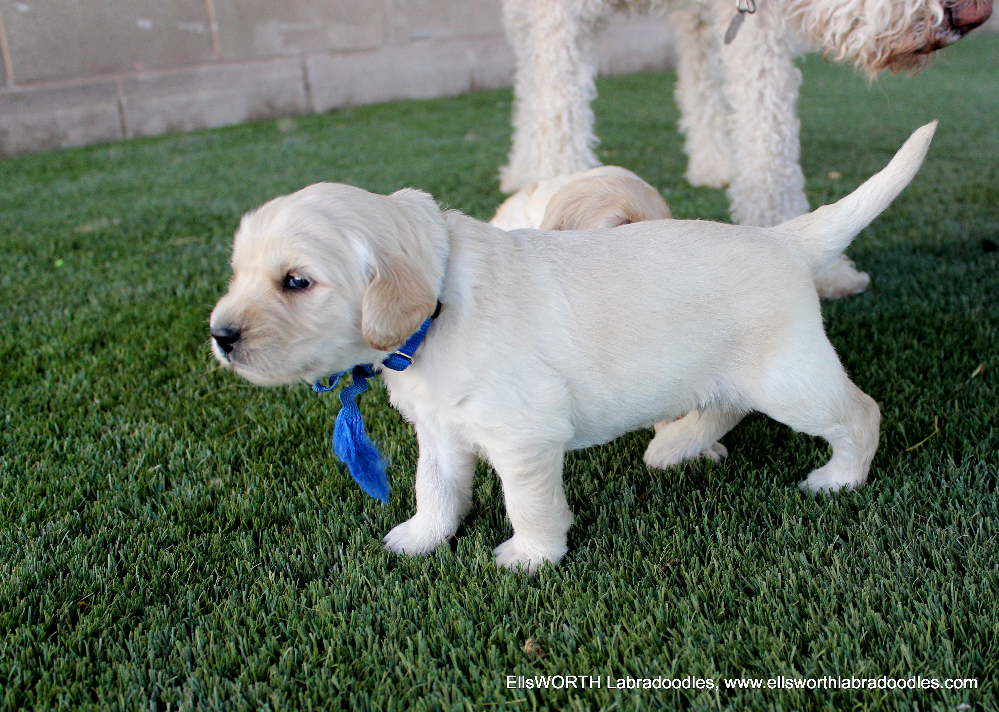 exploring outside