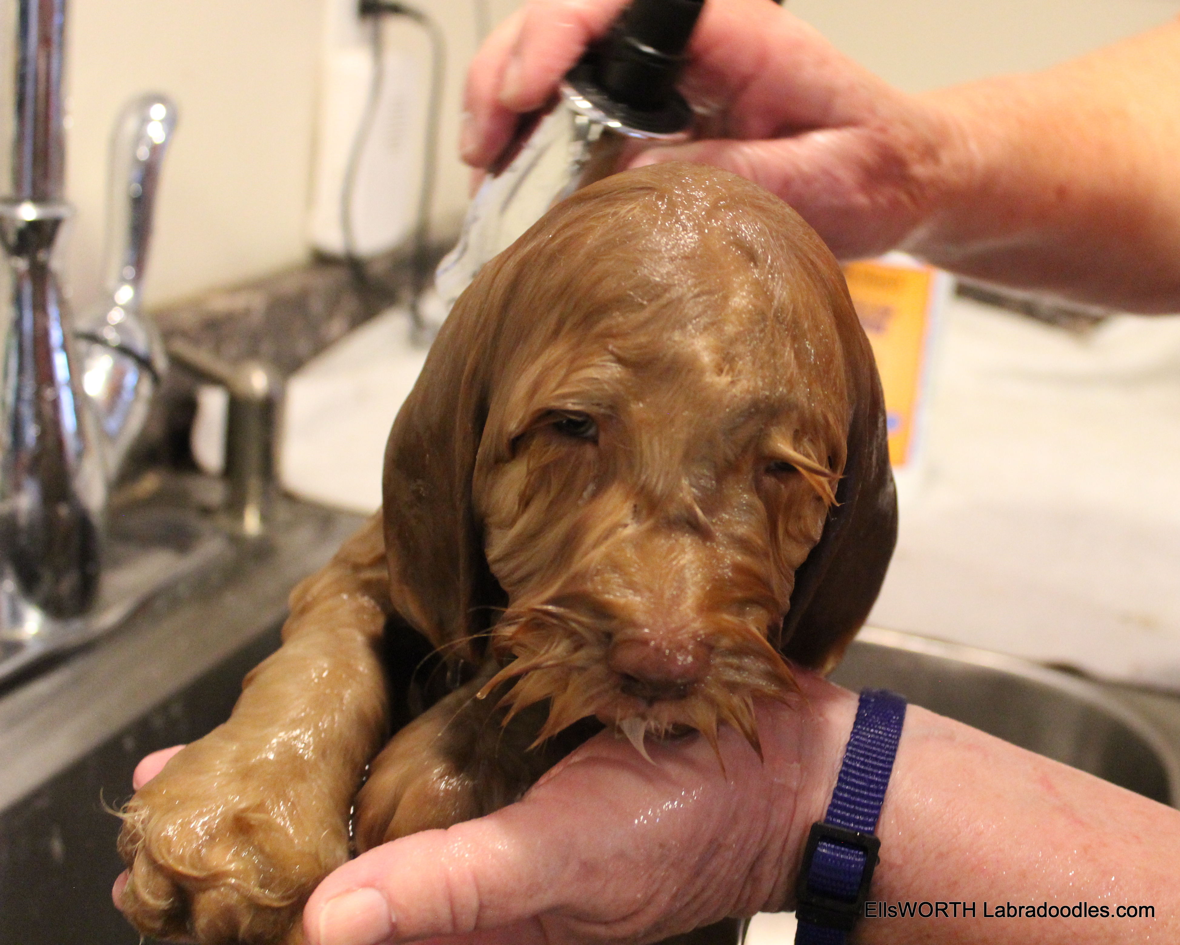 bath time