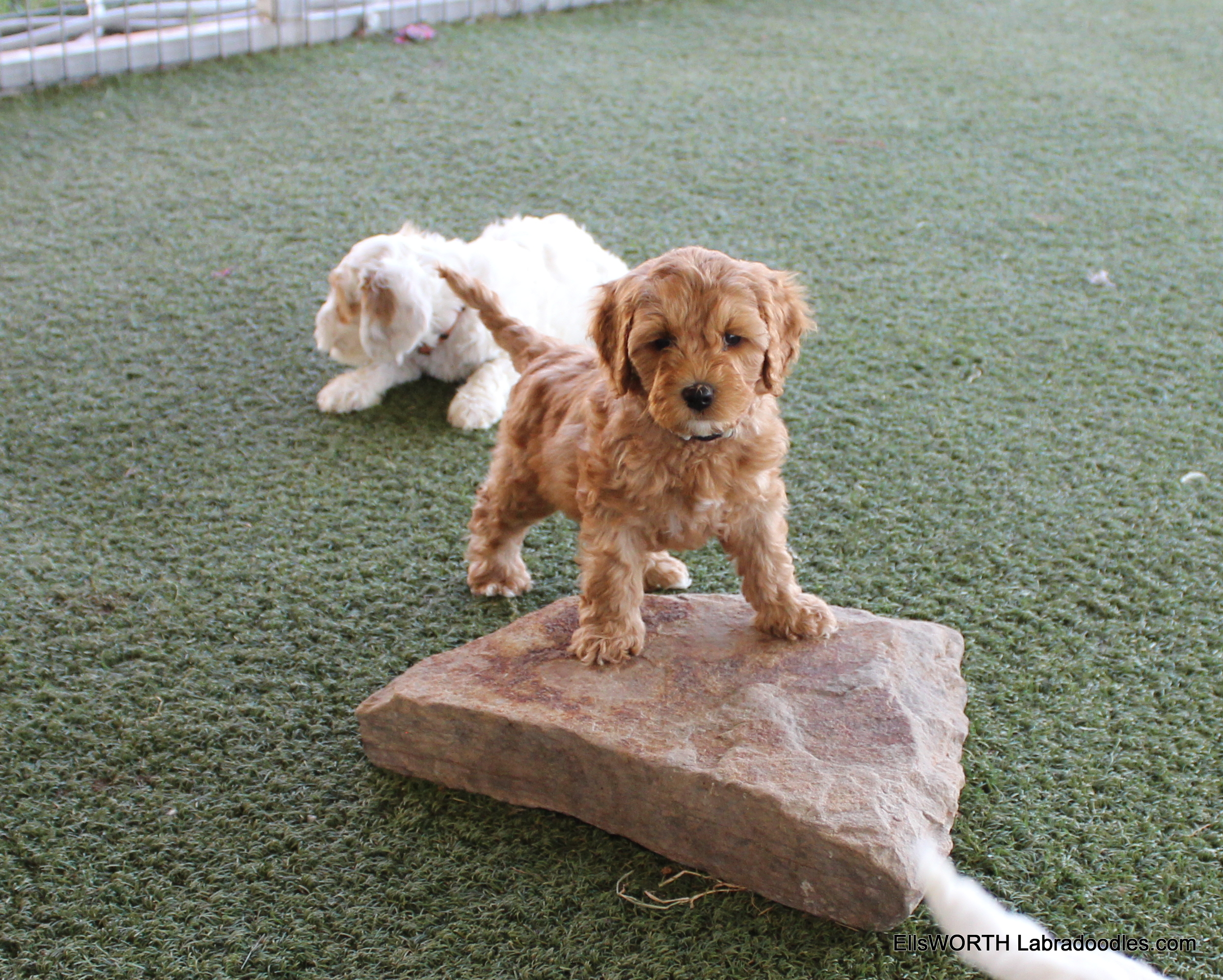 Ruth, little and fiesty