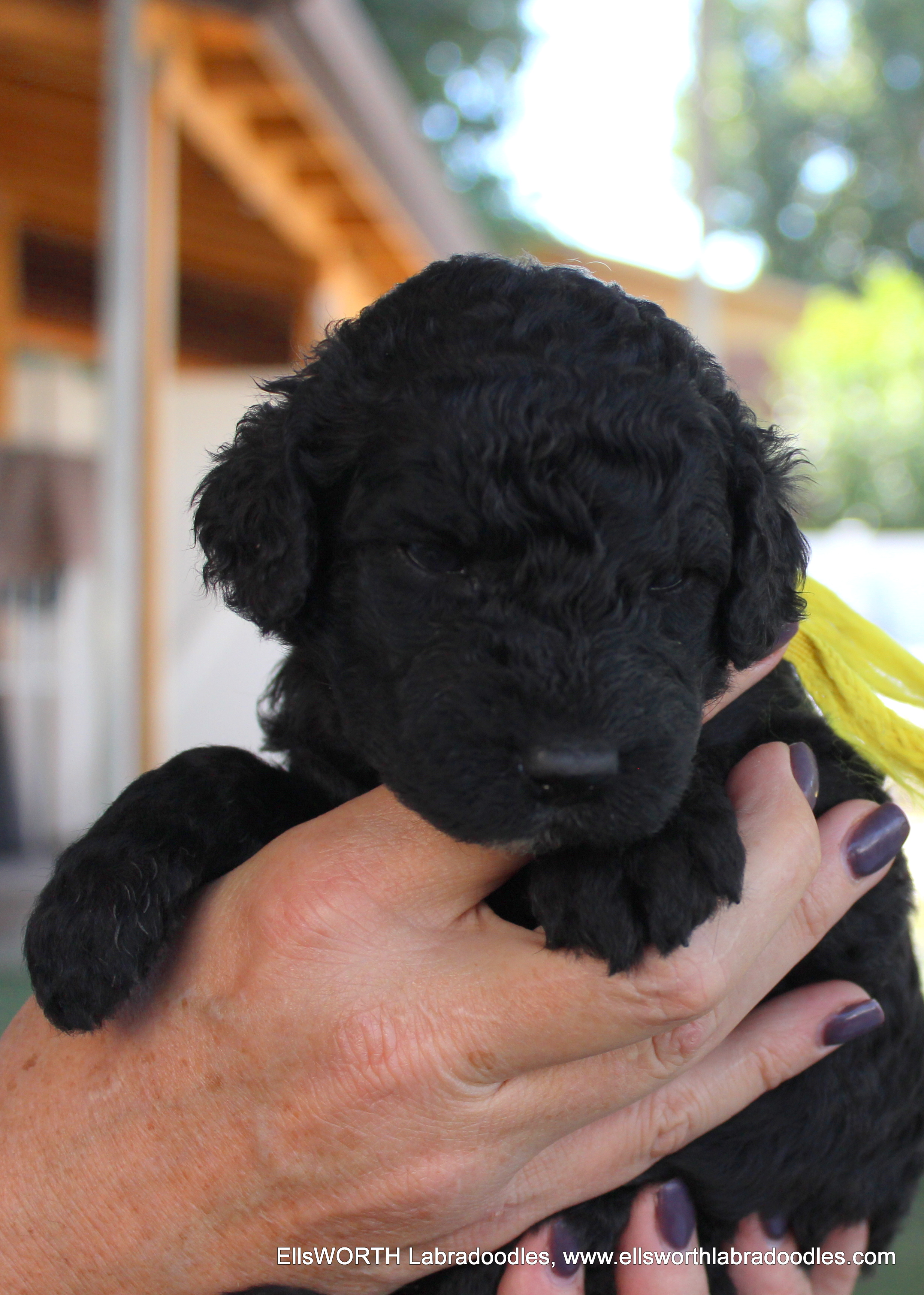 she is getting curly
