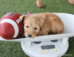 she just wanted to take a nap