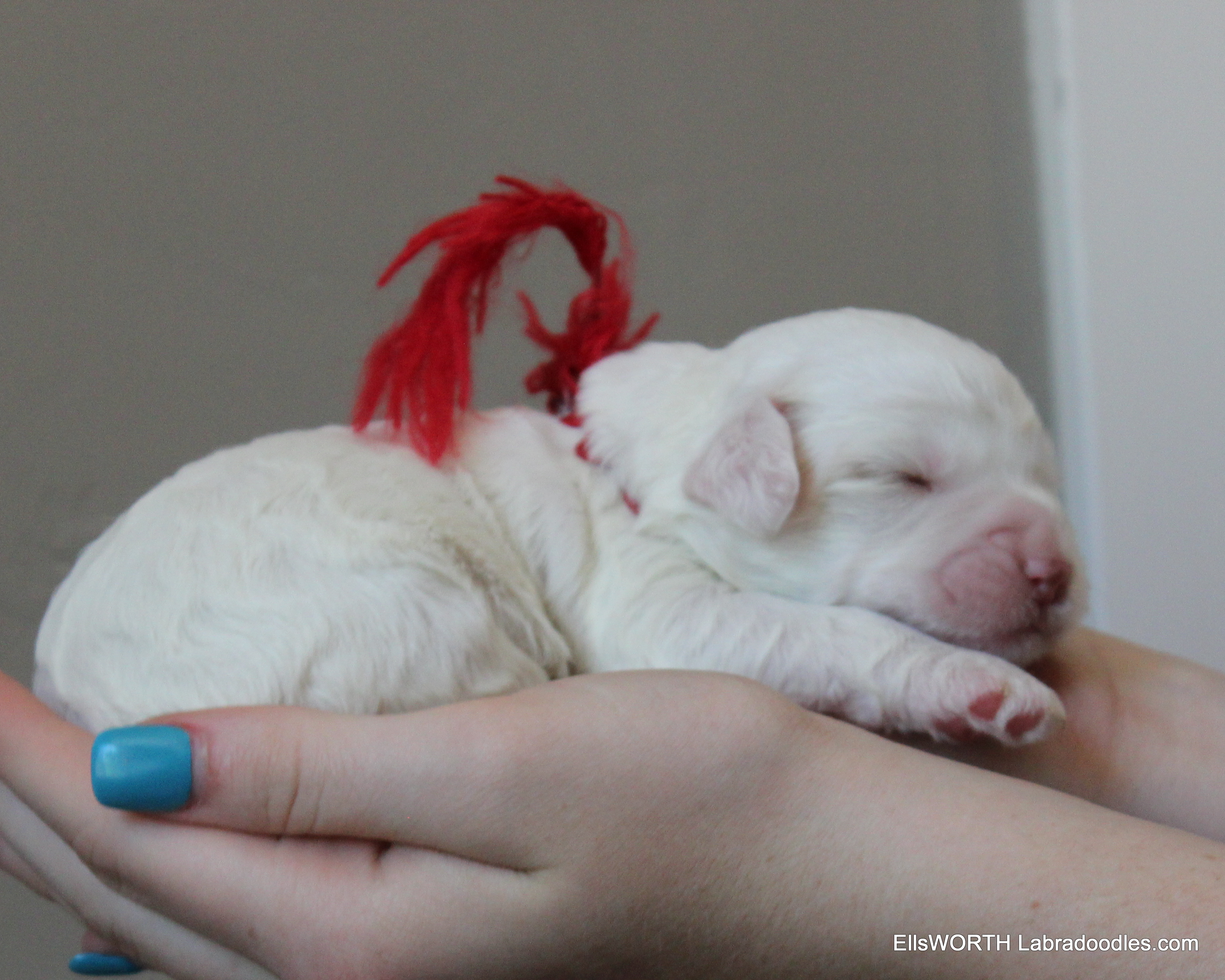 sleepy and sweet