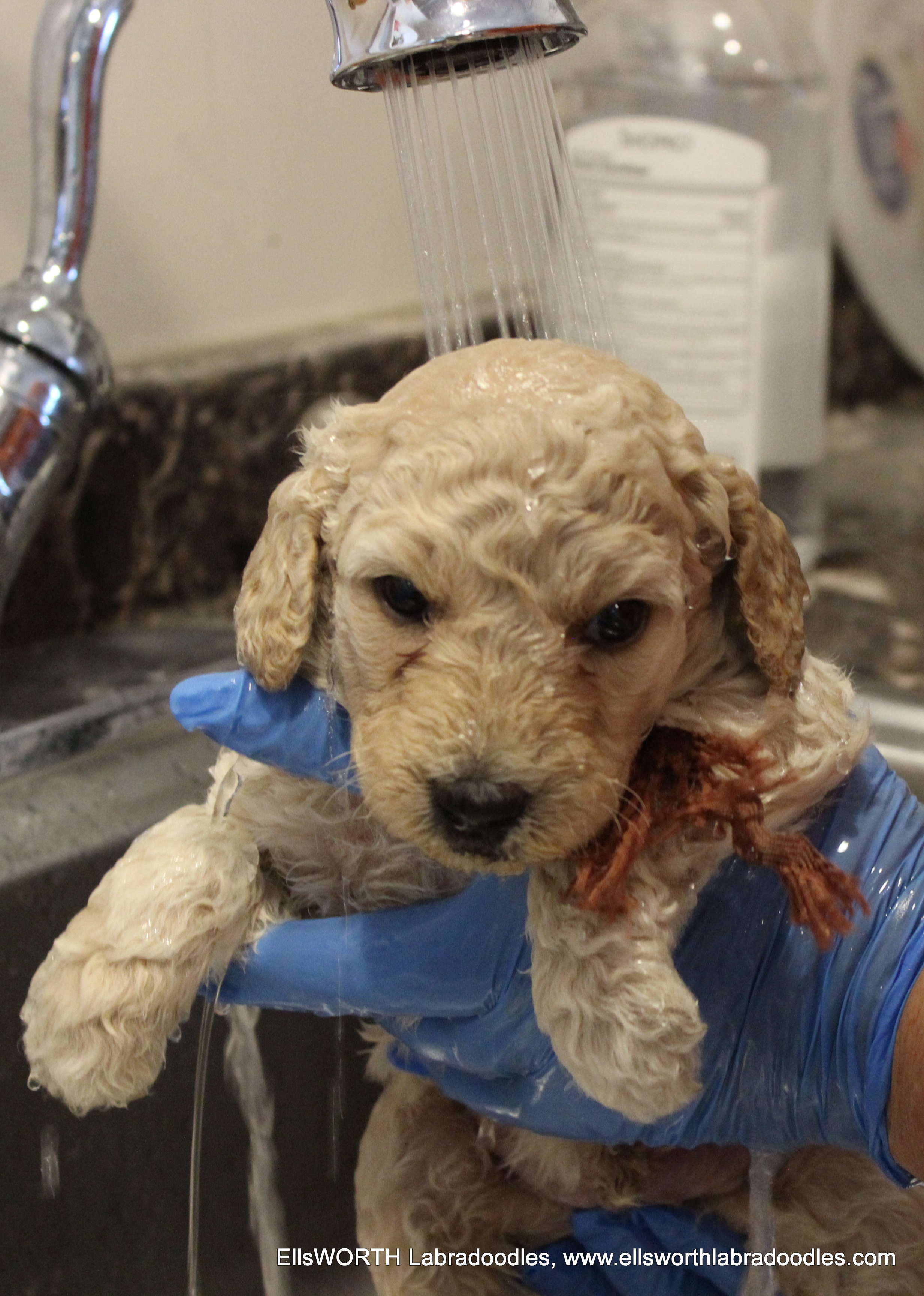 bath time