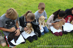 school kids were so gentle and sweet