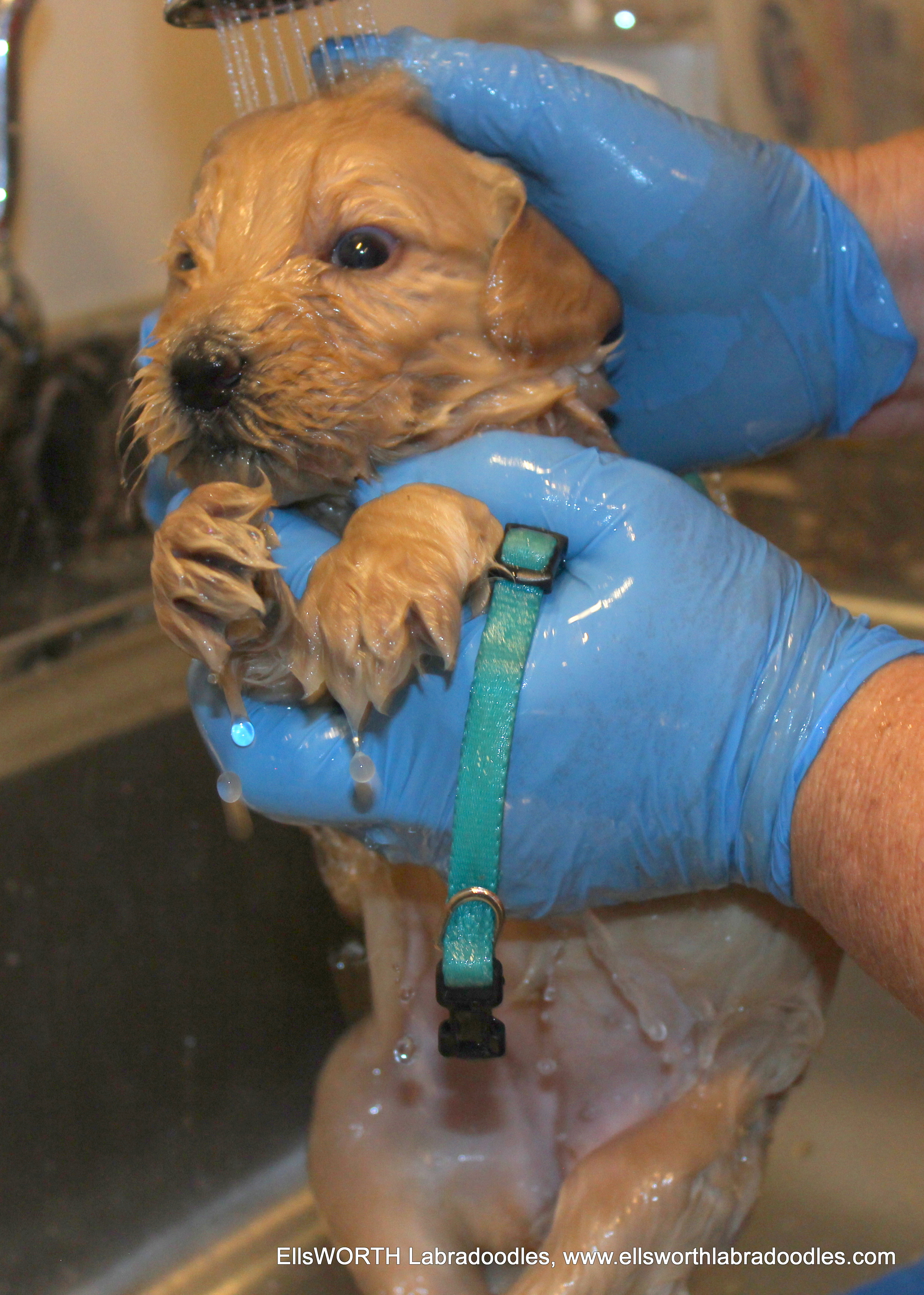 bath time